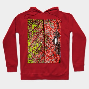 Leaf Colored Hoodie